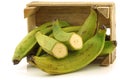Unripe baking bananas (plantain bananas)