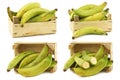 Unripe baking bananas plantain bananas and a cut one in a wooden crate
