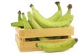 Unripe baking bananas plantain bananas in a wooden crate Royalty Free Stock Photo