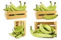 Unripe baking bananas plantain bananas in a wooden crate