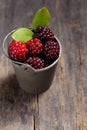 Unripe blackberry in small bucket
