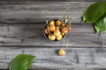 Unripe cherry berries in a tin mug with green leaves, Royalty Free Stock Photo