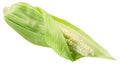 Unripe corn cob or maize, the wrapped seeds exposed, isolated