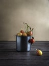 Unripe fruits, unripe cherries in a tin mug on a wooden background Royalty Free Stock Photo