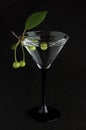 Unripe green cherry in glass on black