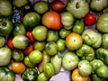 Unripe multicolored tomatoes ripen on a towel