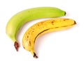 Unripe and overripe bananas isolated on white background. Royalty Free Stock Photo