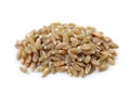 Unripe spelt wheat