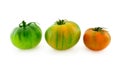 Unripe tomatos