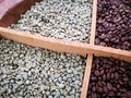 Unroasted and roasted coffee beans Royalty Free Stock Photo