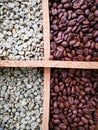 Unroasted and roasted coffee beans Royalty Free Stock Photo