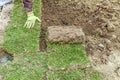 Unrolling grass, applying turf rolls for a new lawn Royalty Free Stock Photo