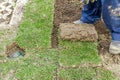 Unrolling grass, applying turf rolls for a new lawn Royalty Free Stock Photo