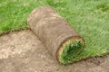 Unrolling Sod Royalty Free Stock Photo