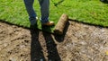 Unrolling Sod for a New Lawn Royalty Free Stock Photo