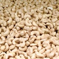 Unsalted Cashew