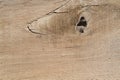 unsanded plywood with a hole Royalty Free Stock Photo