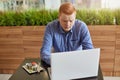 An unsatisfied young businessman with red hair and stylish haircut having lunch break in modern cafe eating sushi and working at h Royalty Free Stock Photo