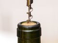 Unscrew bottle of wine with corkscrew and oak cork