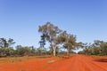 Unsealed road in Gundabooka National Park Royalty Free Stock Photo