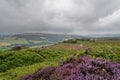 An unseasonably grey, misty summer day in the heather and bracken covered Derbyshire Peak District