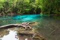 Unseen Emerald Pool locate in deef forest