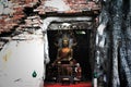 Unseen Thailand,Ruins of old temple with a Bodhi tree root