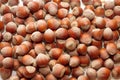 Unshelled brown hazelnuts in bulk background