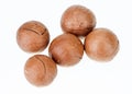 Unshelled macadamia nuts