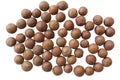 Unshelled macadamia Nuts