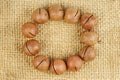 Unshelled macadamia nuts on jute background Royalty Free Stock Photo