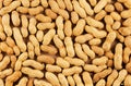 Unshelled peanuts as a background.