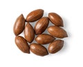 Unshelled pecan nuts isolated on a white background. Group of whole unpeeled pecans cutout. Macro of Carya illinoinensis tree Royalty Free Stock Photo