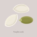 Unshelled and peeled pumpkin seeds on a gray background.