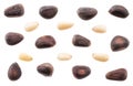 Unshelled pine nuts and shelled nuts on white background. Macro Royalty Free Stock Photo