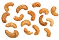 Unshelled Roasted Cashew Nuts