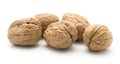 Fresh walnuts isolated Royalty Free Stock Photo