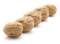 Fresh walnuts isolated Royalty Free Stock Photo