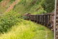 The Unspecific people had taking photo with moving train. The train was moving through the nine arches bridge at the Ella, Sri Lan Royalty Free Stock Photo