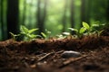 Unspoiled Plant growing forest soil. Generate Ai