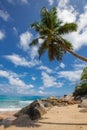 Unspoiled tropical beach in Sri Lanka. Royalty Free Stock Photo