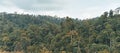 unspoiled tropical forest,perak,gerik,Malaysia,good for background,Malaysia,8 October 3023.