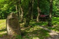 The Tiefental along the Pulsnitz river, Saxony, Germany