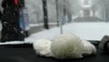 Unsteady shot of beanies in a car while person walks by during the winter