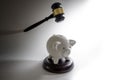 Unsuspecting piggy bank under the judge`s gavel, coming from the dark, economy concept, gray background with copy space