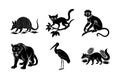 Untamed Jungle Rare Animals Solid Black Silhouette Pack Royalty Free Stock Photo