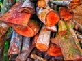 untidy pile of firewood behind the house