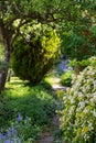 Wildlife friendly suburban garden with crazy paving path, bluebells, shrubs, flowers and greenery.