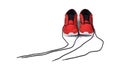 Untied shoelace of sneakers.