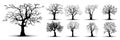 Tree silhouettes on white background. Vector illustration. Royalty Free Stock Photo